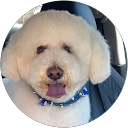 Kobe Lopez profile picture